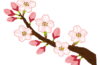 新生活🌸